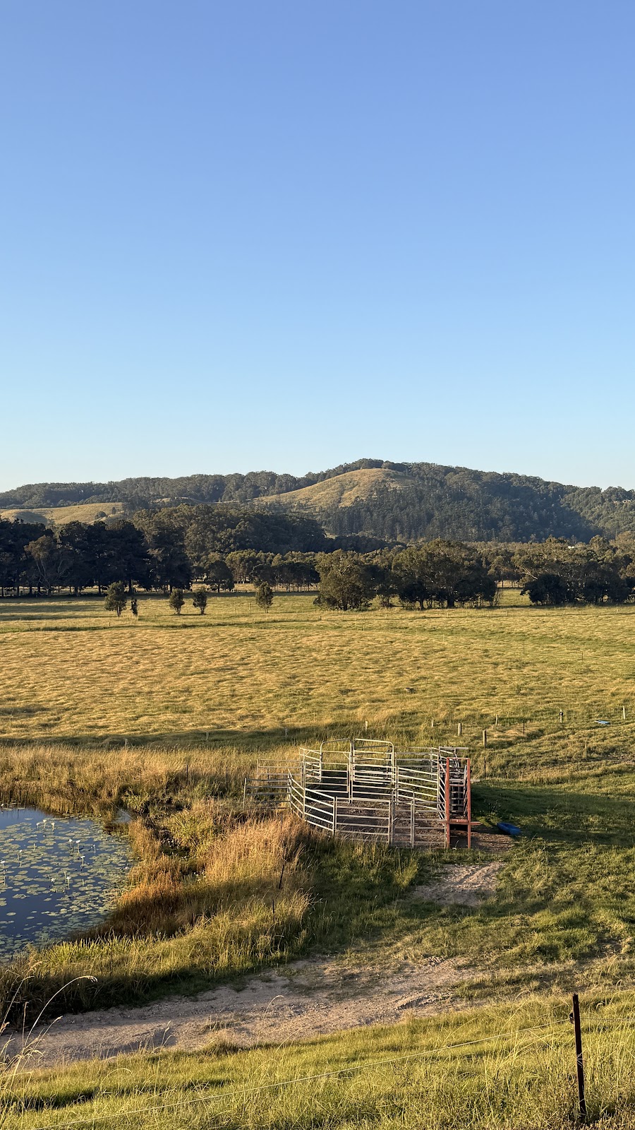 Niched Marketing | 154 Kanes Rd, Round Mountain NSW 2484, Australia | Phone: 0426 880 758