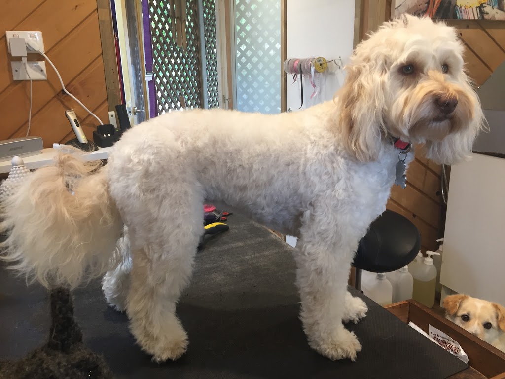 Grooming with Love | 52 Curtin Ave, Wahroonga NSW 2076, Australia | Phone: 0411 119 430