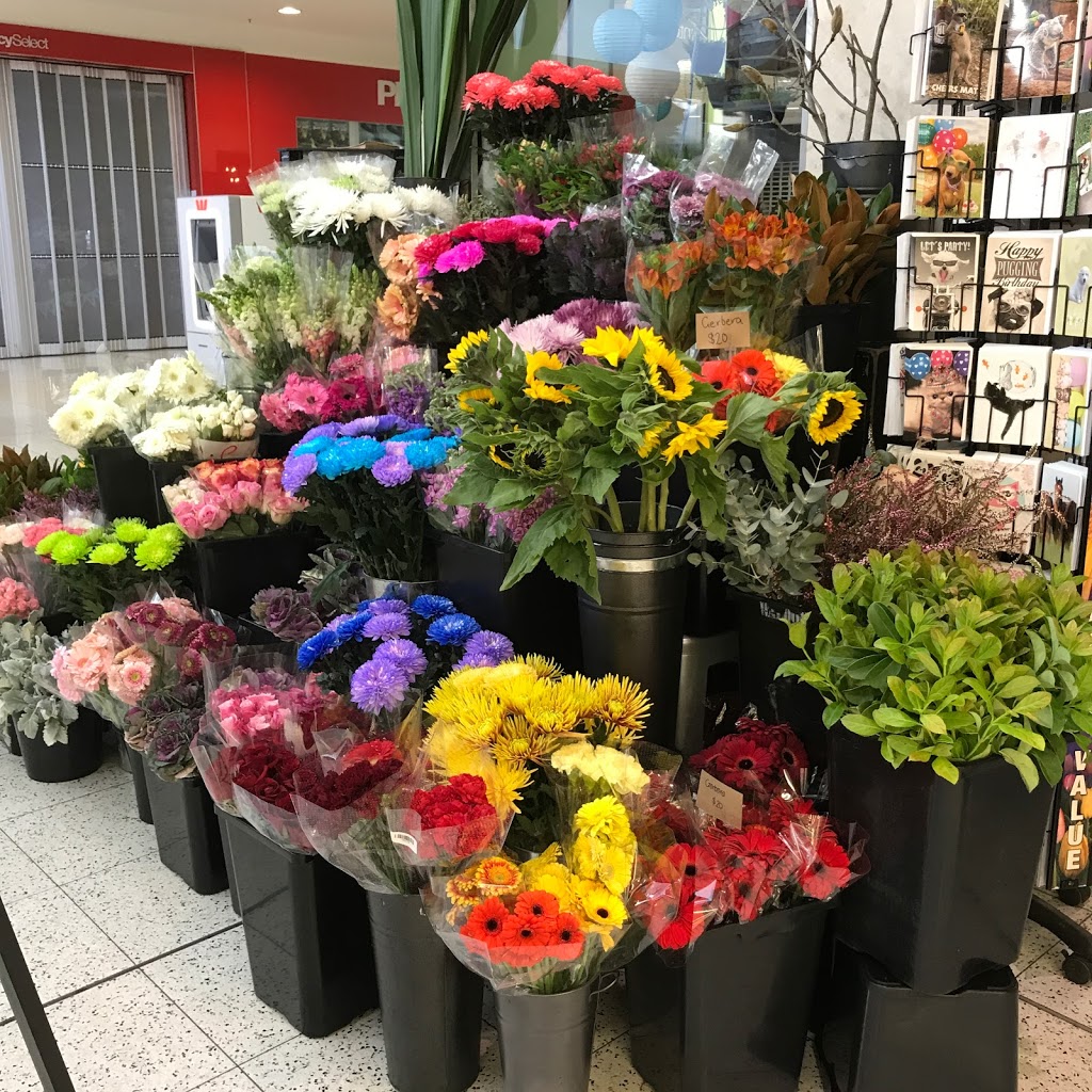 Anthos Flowers (florist Next To Coles) | florist | Next To Coles, 46 Hibberson St, Gungahlin ACT 2912, Australia | 0262411249 OR +61 2 6241 1249