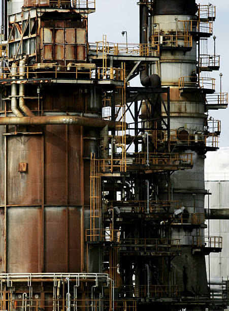 Safety first labour hire | 35, 35B Cumbernauld Cres, Dharruk NSW 2770, Australia | Phone: 0459 760 988