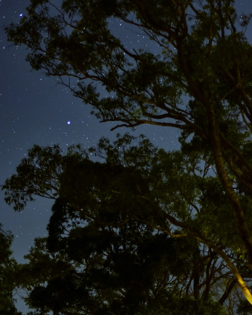 Thomas Park | 56 Boorea St, Blaxland NSW 2774, Australia | Phone: (02) 4723 5000