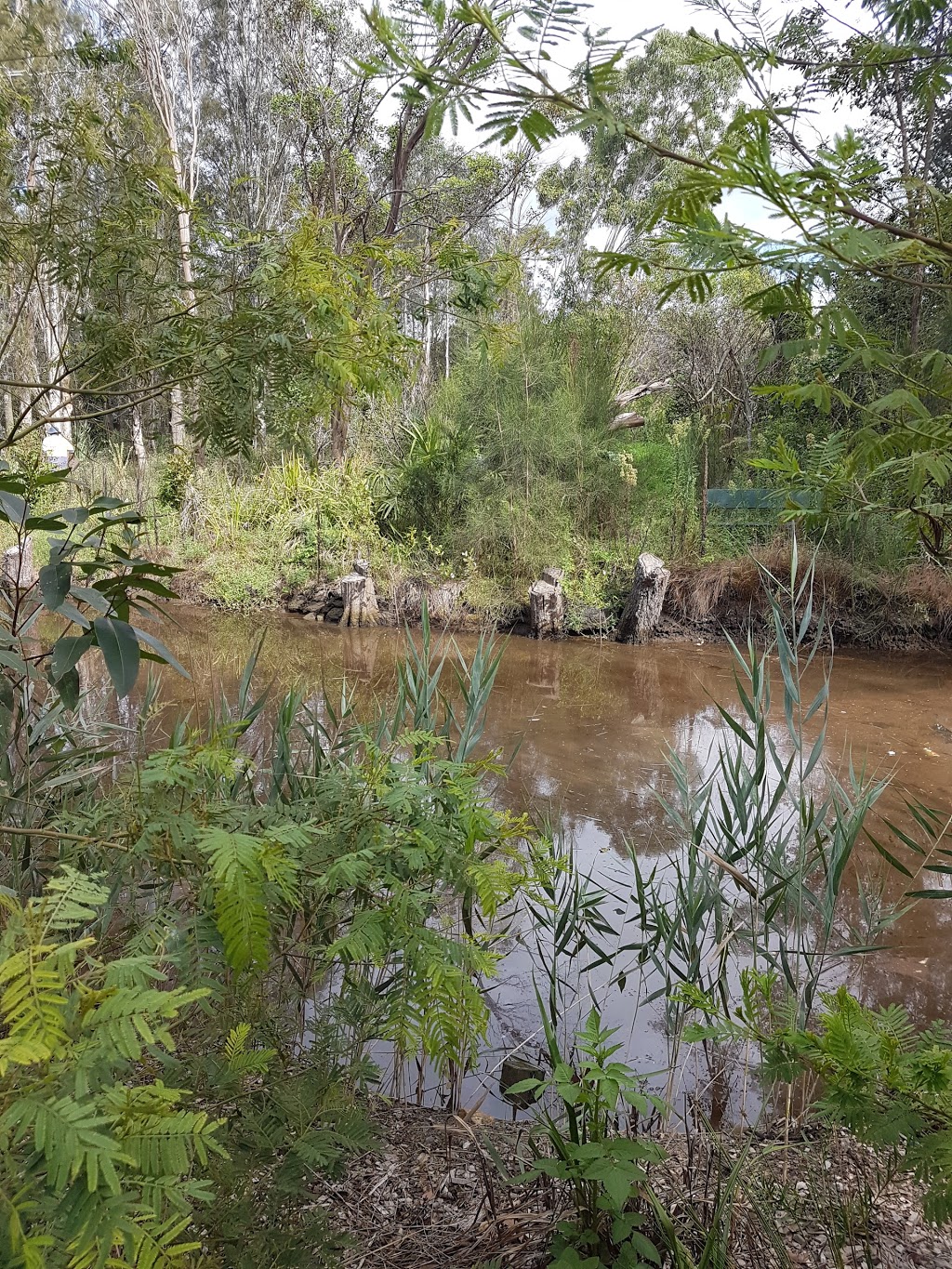 Hunter Wetlands National Park | Tomago NSW 2322, Australia | Phone: (02) 4946 4100