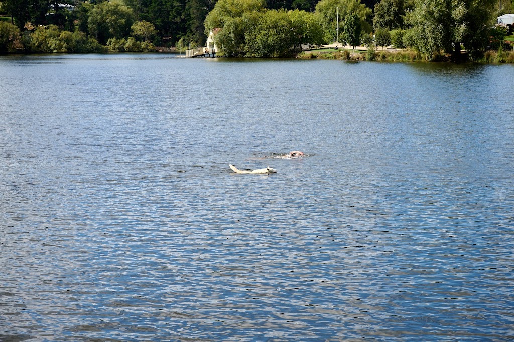 Lake Daylesford Swimming Jetty |  | 16 Leggatt St, Daylesford VIC 3460, Australia | 0396468688 OR +61 3 9646 8688