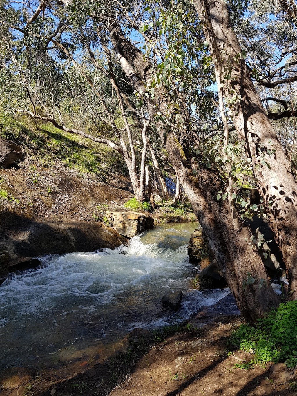 Kalamunda National Park | Schipp Rd, Piesse Brook WA 6076, Australia | Phone: (08) 9290 6100