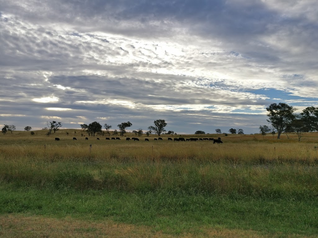 Mulanggari Grasslands Nature Reserve | park | Gungahlin ACT 2912, Australia