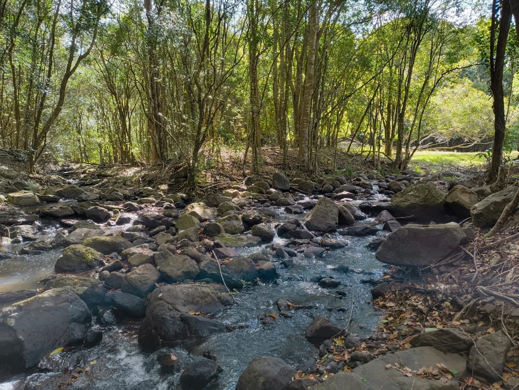 Biodanza School of Australia at Pumulani | 236 Graydon Rd, Corndale NSW 2480, Australia | Phone: 0477 800 001