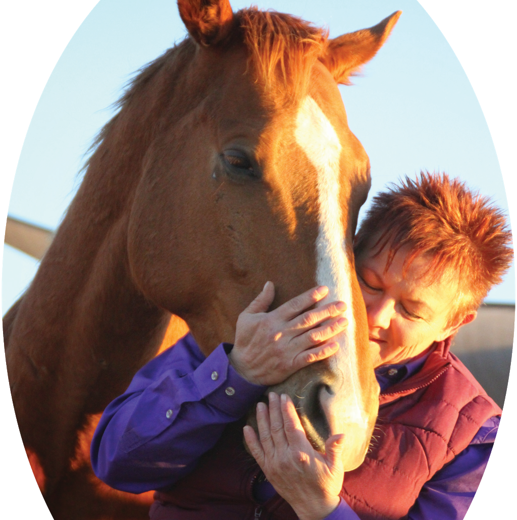 Horse Whispers - Natural Equine Therapies | veterinary care | 14 Palmer Ave, Warwick QLD 4370, Australia | 0413184638 OR +61 413 184 638