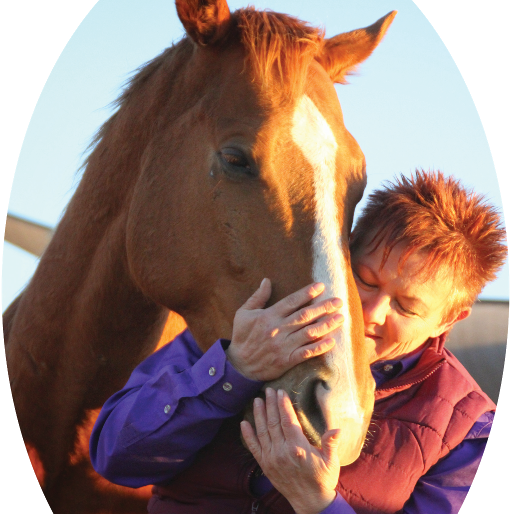 Horse Whispers - Natural Equine Therapies | 14 Palmer Ave, Warwick QLD 4370, Australia | Phone: 0413 184 638