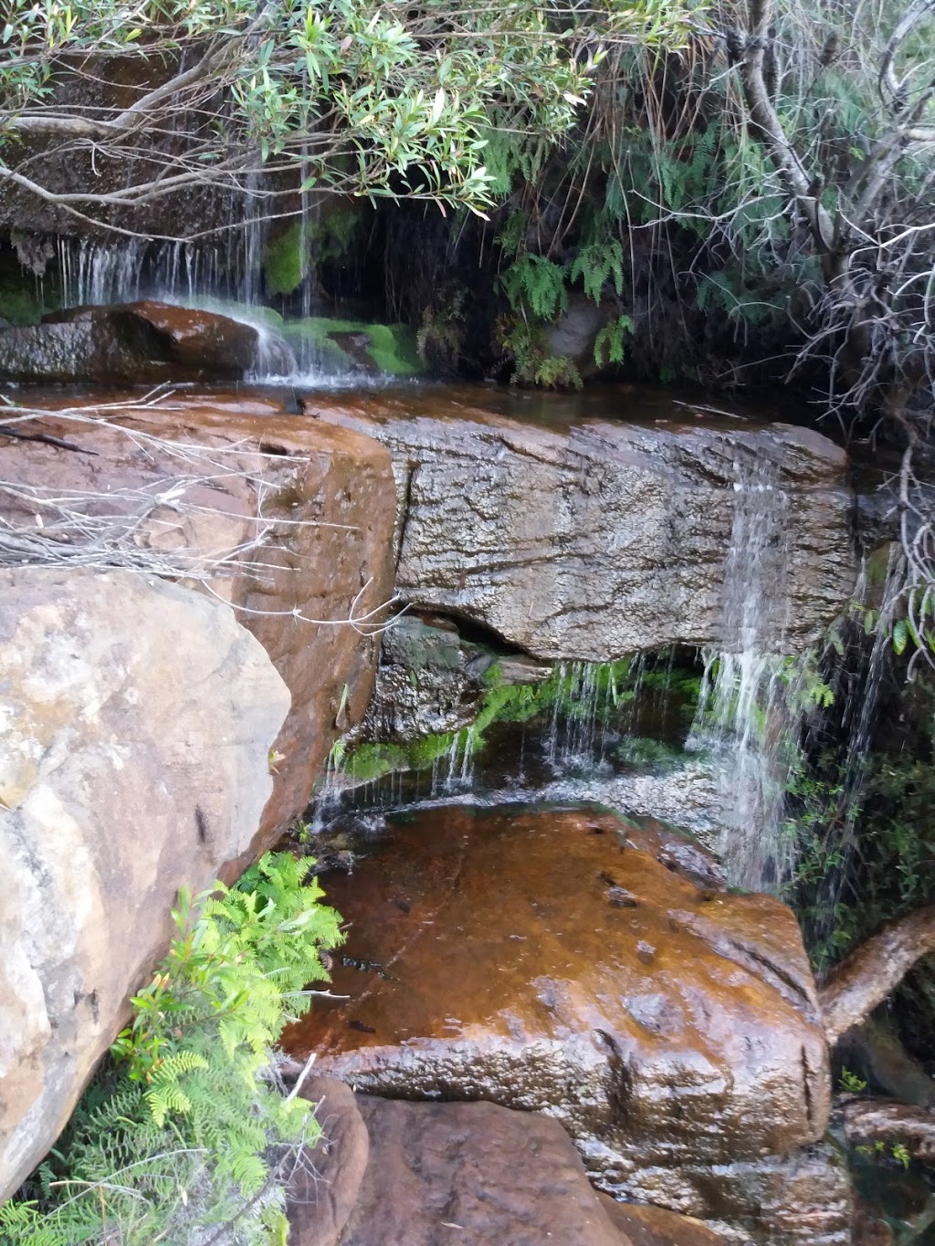 Elvina Waterfalls | park | Ku-Ring-Gai Chase NSW 2084, Australia