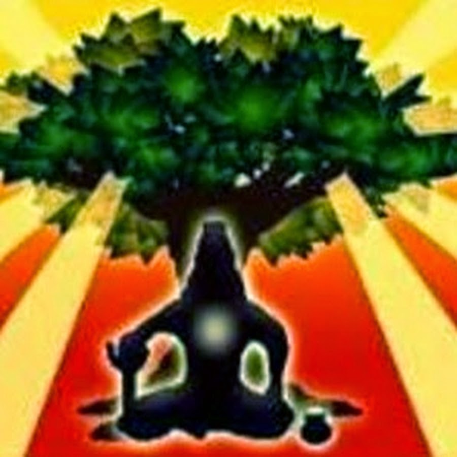 Green Tree Ayurveda | health | 13 Theodore St, Curtin ACT 2605, Australia | 0416932631 OR +61 416 932 631