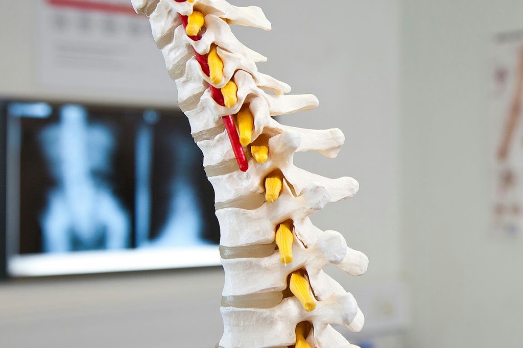 Eduardo Ramos Chiropractor | 79A Justin St, Lilyfield NSW 2040, Australia | Phone: 0449 604 088