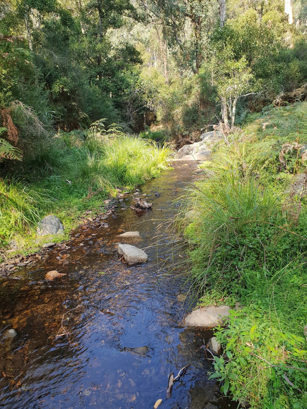 Snake and Nip River | campground | Jenolan NSW 2790, Australia