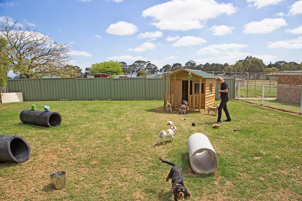 The Pet Ranch | 154 Woncor Avenue, South Nowra NSW 2540, Australia | Phone: 0412 429 625