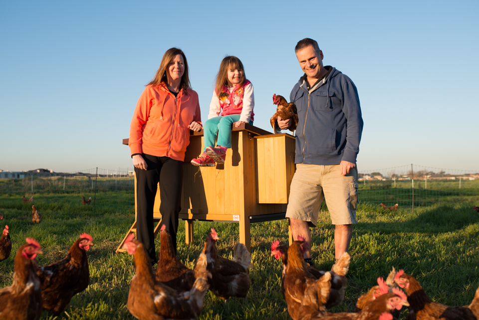 Talking Hens | pet store | 3590 Frankston - Flinders Rd, Merricks VIC 3916, Australia | 0406691231 OR +61 406 691 231