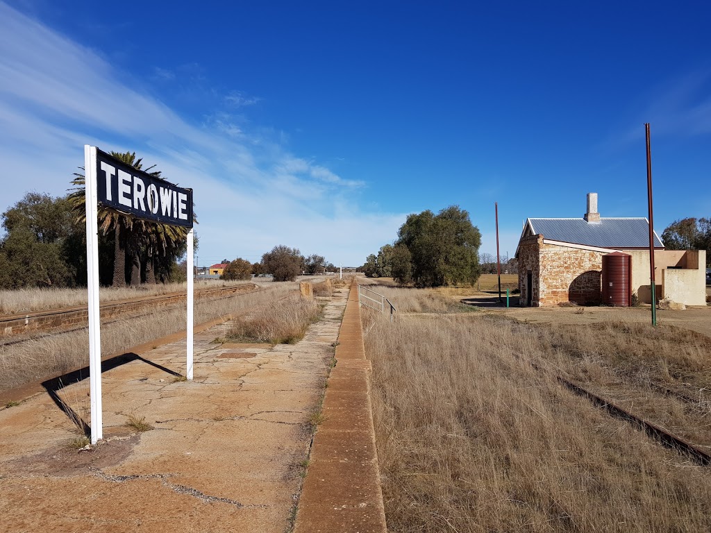 Terowie Caravans and Motorhome Free Camp | Terowie SA 5421, Australia