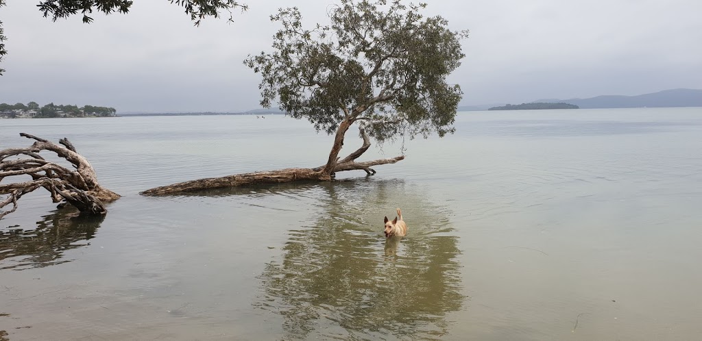 Billy Beach Off-Lead Dog Exercise Area | 4 Bay St, Mallabula NSW 2319, Australia