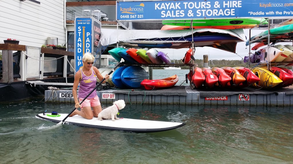 Kayak Noosa | The Boathouse, 194 Gympie Terrace, Noosaville QLD 4566, Australia | Phone: 0448 567 321
