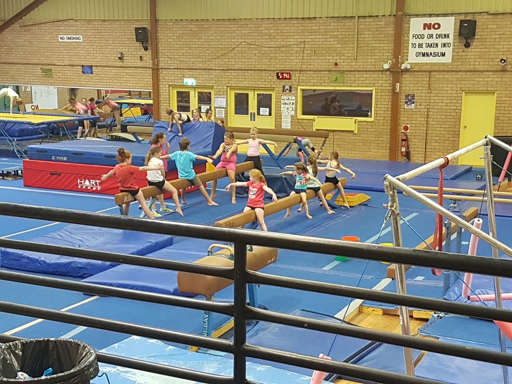 Phoenix Academy of Gymnastics |  | 32 Mount Erin Rd, Campbelltown NSW 2560, Australia | 0418636208 OR +61 418 636 208