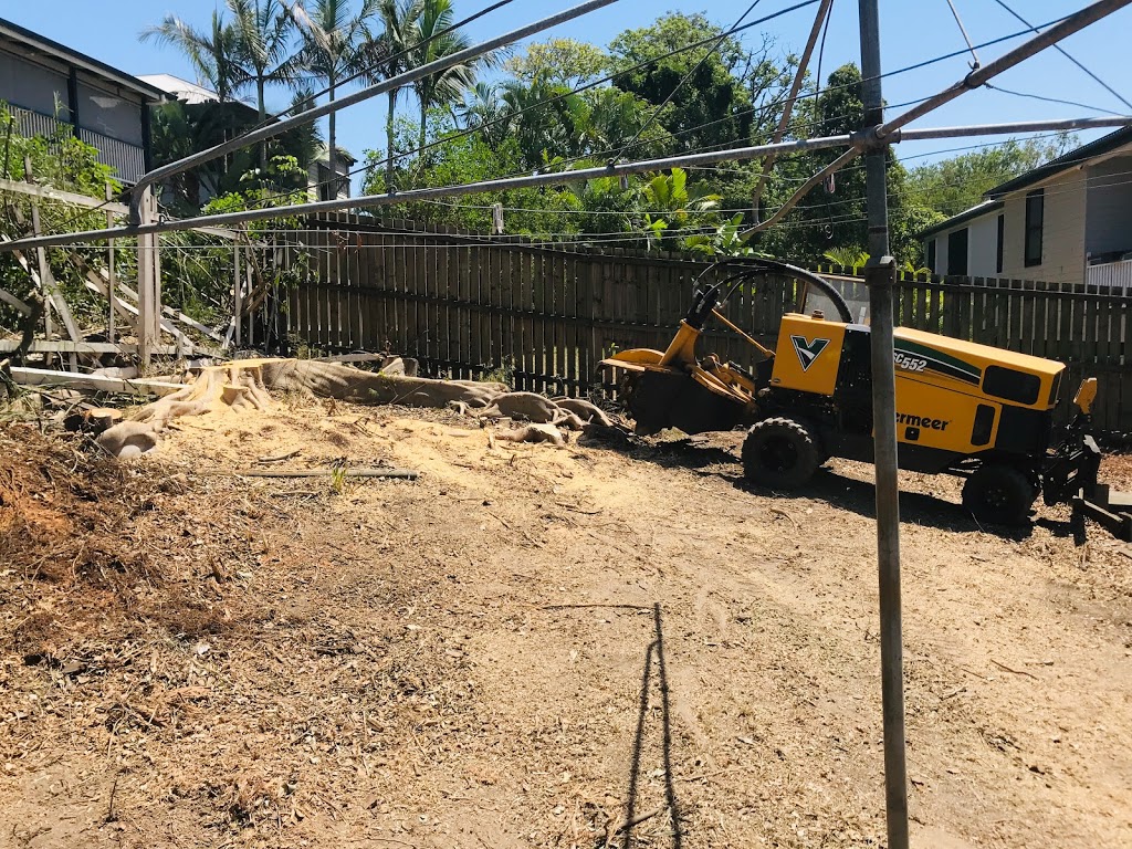 Extreme Stump Grinding | 124 Pub Ln, Greenbank QLD 4124, Australia | Phone: 0477 702 912