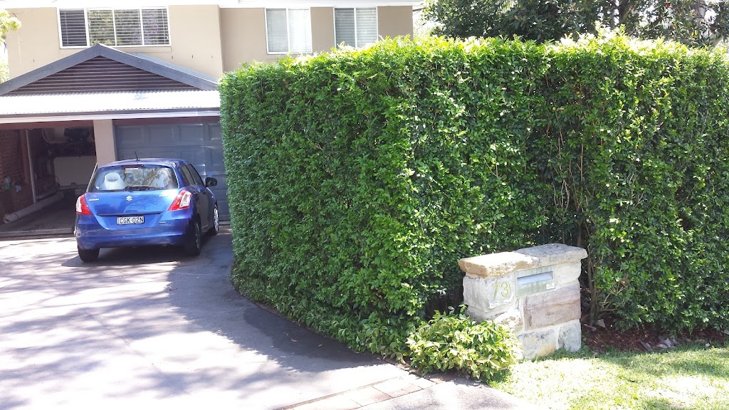 Dinos Gardens and Hedges | 19 Carrabeen Dr, Old Bar NSW 2430, Australia | Phone: 0418 962 132