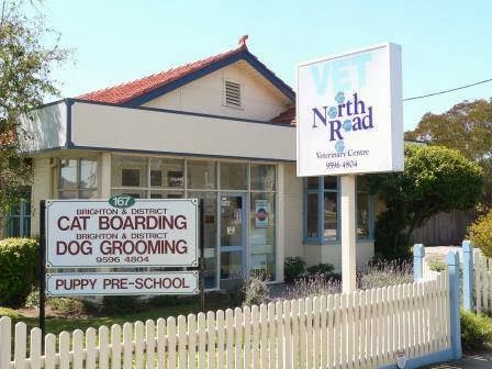 Brighton and District Cat Boarding and Cattery | veterinary care | 167 North Rd, Gardenvale VIC 3185, Australia | 0395967255 OR +61 3 9596 7255