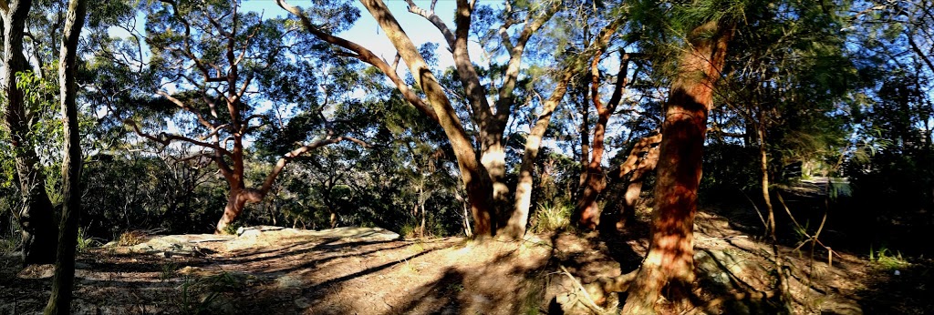 Garigal National Park (entrance to the walking track) | 164 Killarney Dr, Killarney Heights NSW 2087, Australia