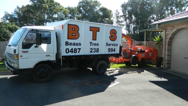 Beaus Tree Service | 9 Ginkers Way, Cooranbong NSW 2265, Australia | Phone: 0487 238 994