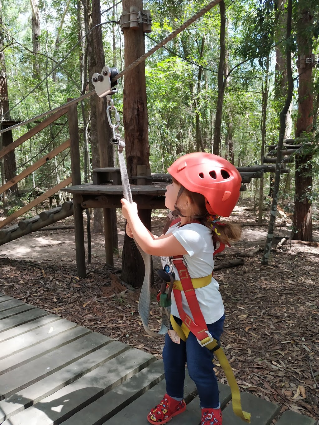 TreeTops Central Coast | park | Ourimbah State Forest, 1 Red Hill Rd,, Wyong Creek NSW 2259, Australia | 0455334945 OR +61 455 334 945