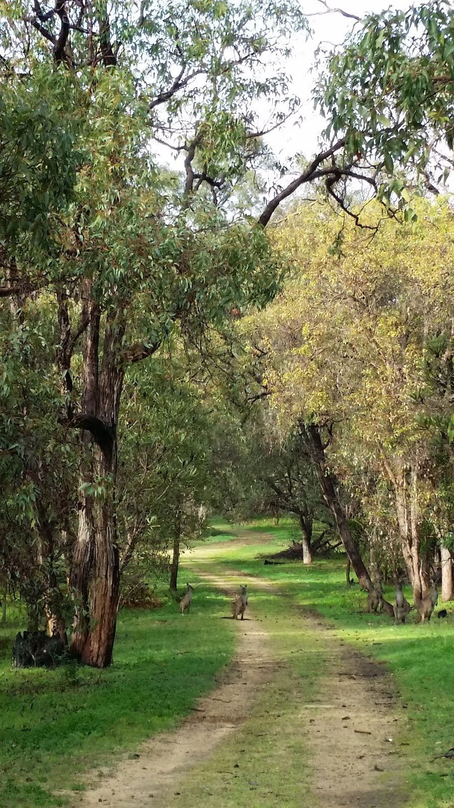 Marlee Reserve | park | 101 Marlee Rd, Parklands WA 6180, Australia