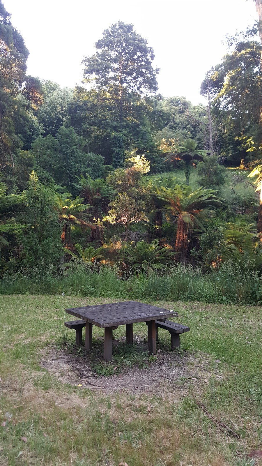 Olympic Picnic Ground | park | Olinda VIC 3788, Australia
