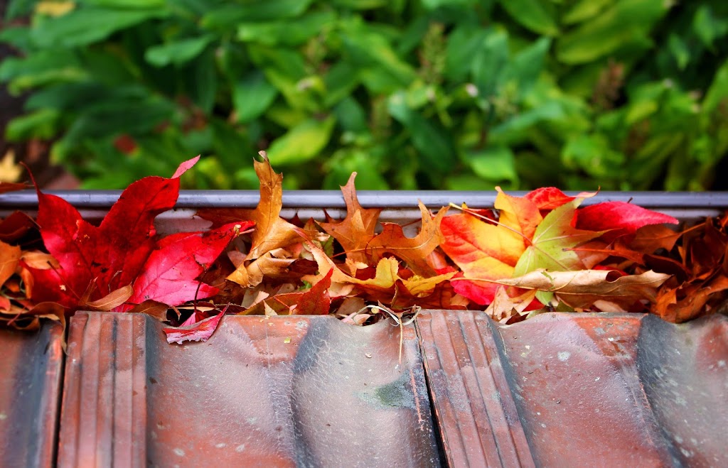 The Great Barrier Leaf | Pinewood Cres, Wonga Park VIC 3115, Australia | Phone: 1300 540 540