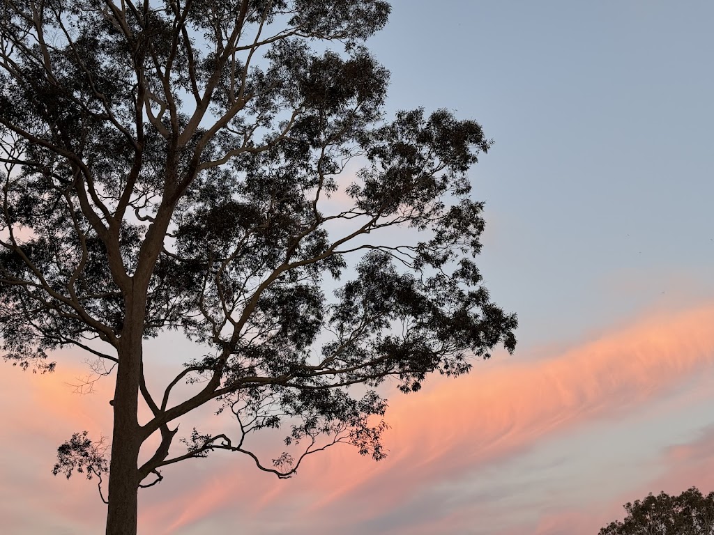 Walawaani Way Conservation Burial | 77 Princes Hwy, Bodalla NSW 2545, Australia | Phone: 0402 892 759 Walawaani Way Conservation Burial | 77 Princes Hwy, Bodalla NSW 2545, Australia | Phone: 0402 892 759