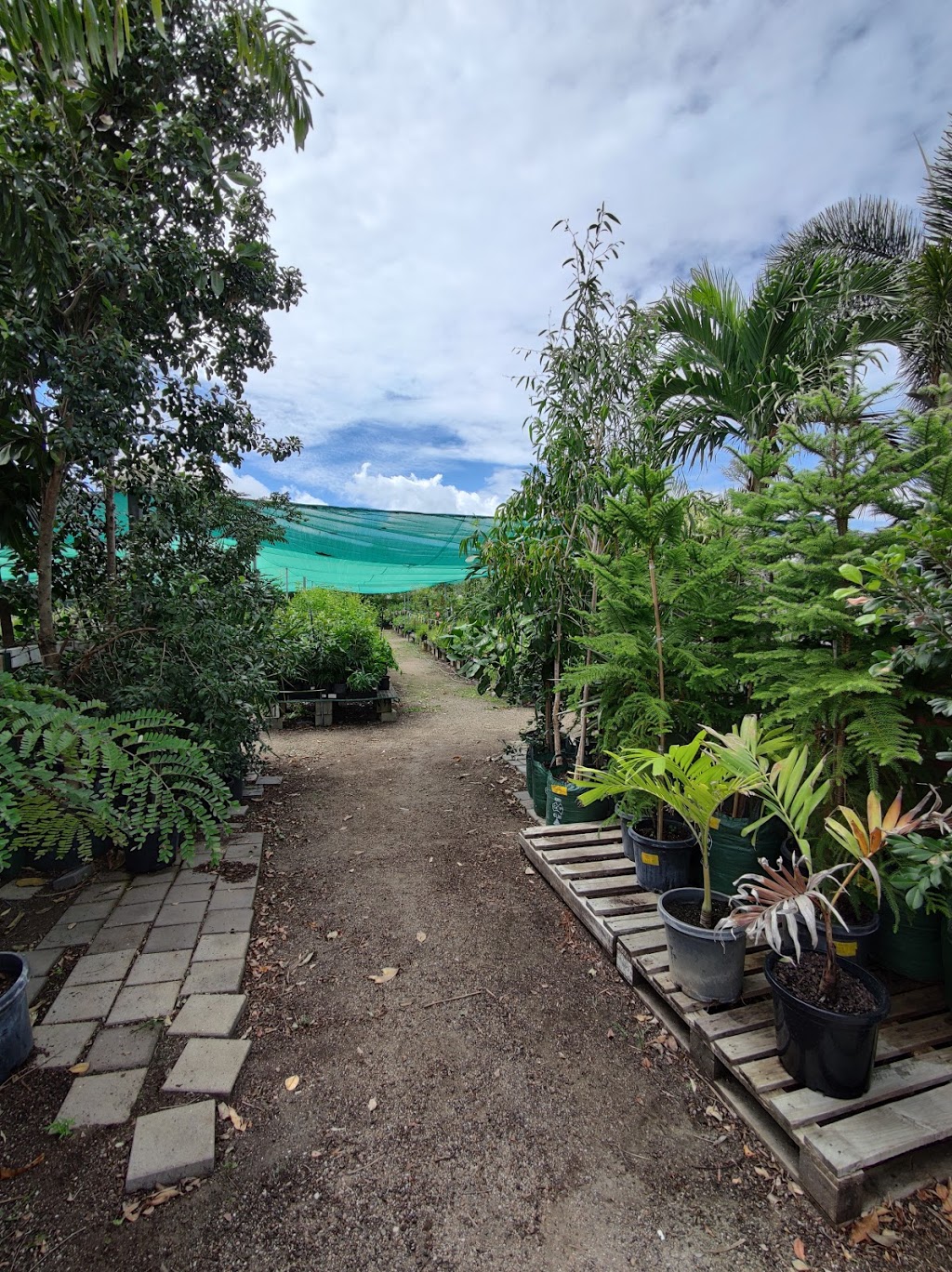 Flora North Nursery |  | 22-24 Bessemer St, Stuart QLD 4811, Australia | 0747290551 OR +61 7 4729 0551