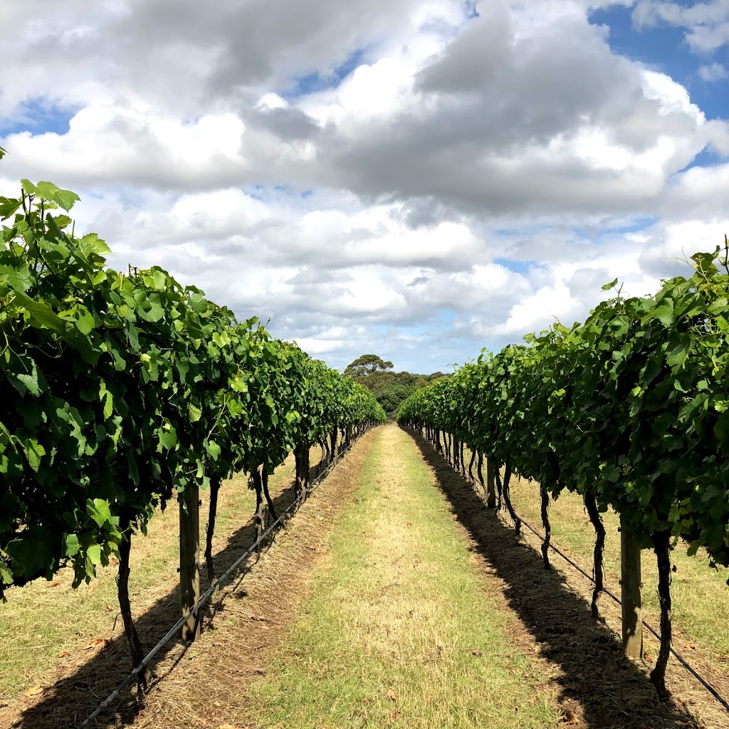 Hedera Estate Wine |  | Gumeracha SA 5233, Australia | 0426665220 OR +61 426 665 220