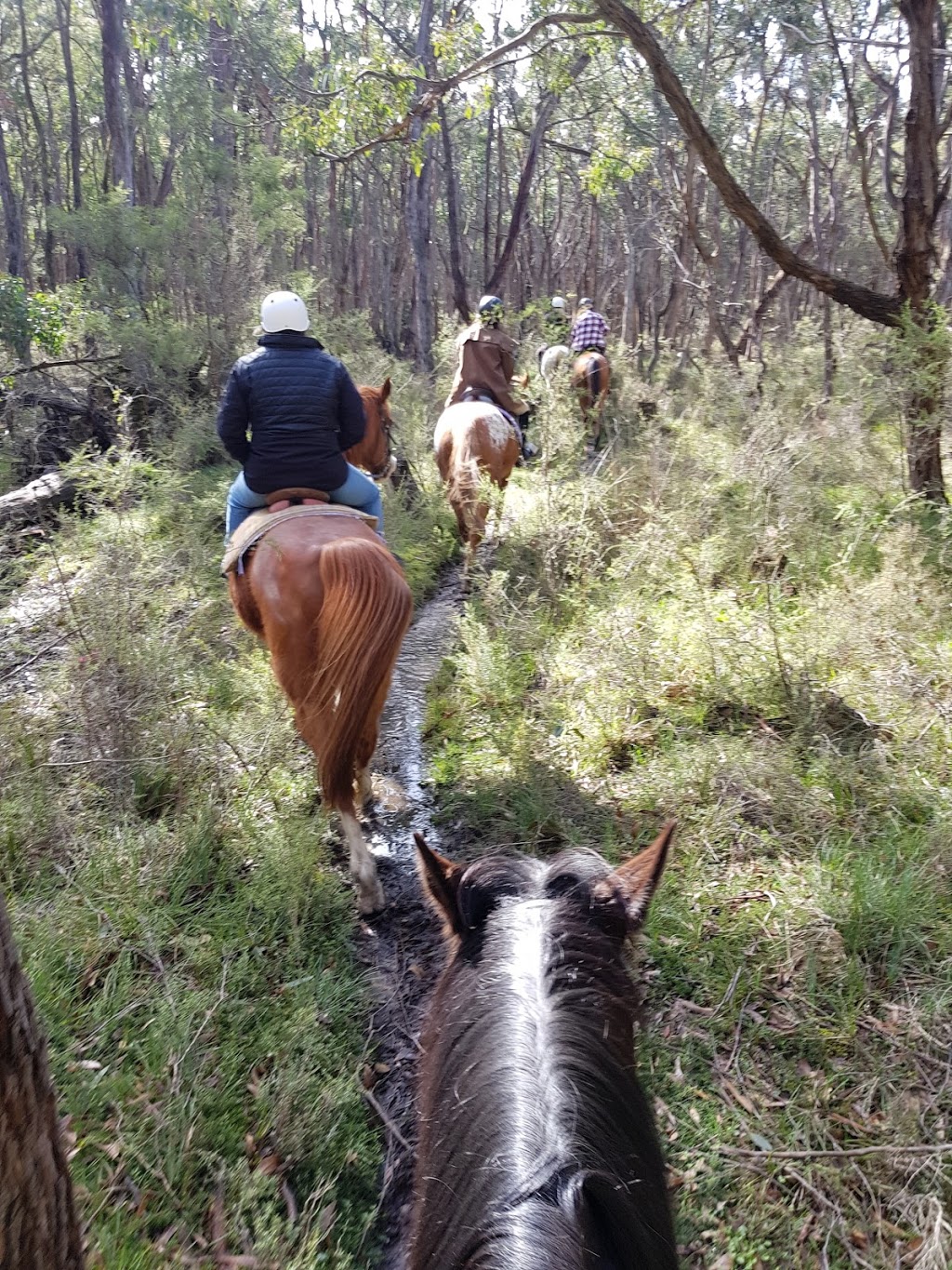 Doran Park Trail Rides |  | Mt Doran-Egerton Rd, Mount Doran VIC 3334, Australia | 0353415588 OR +61 3 5341 5588