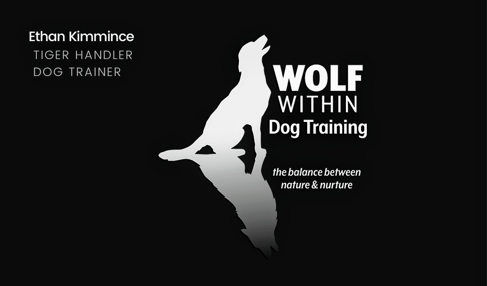 WOLF WITHIN Dog Training | 117 Endeavour Dr, Banksia Beach QLD 4507, Australia | Phone: 0431 369 625