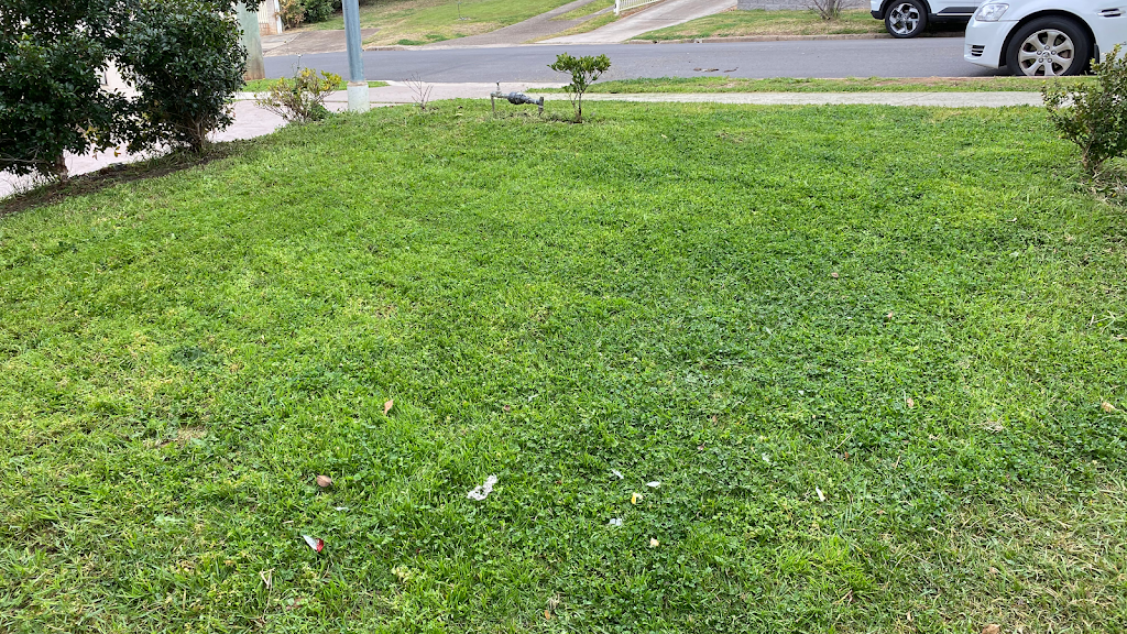 Short lawn mowing service |  | 54 Kembla Cres, Ruse NSW 2560, Australia | 0401531545 OR +61 401 531 545