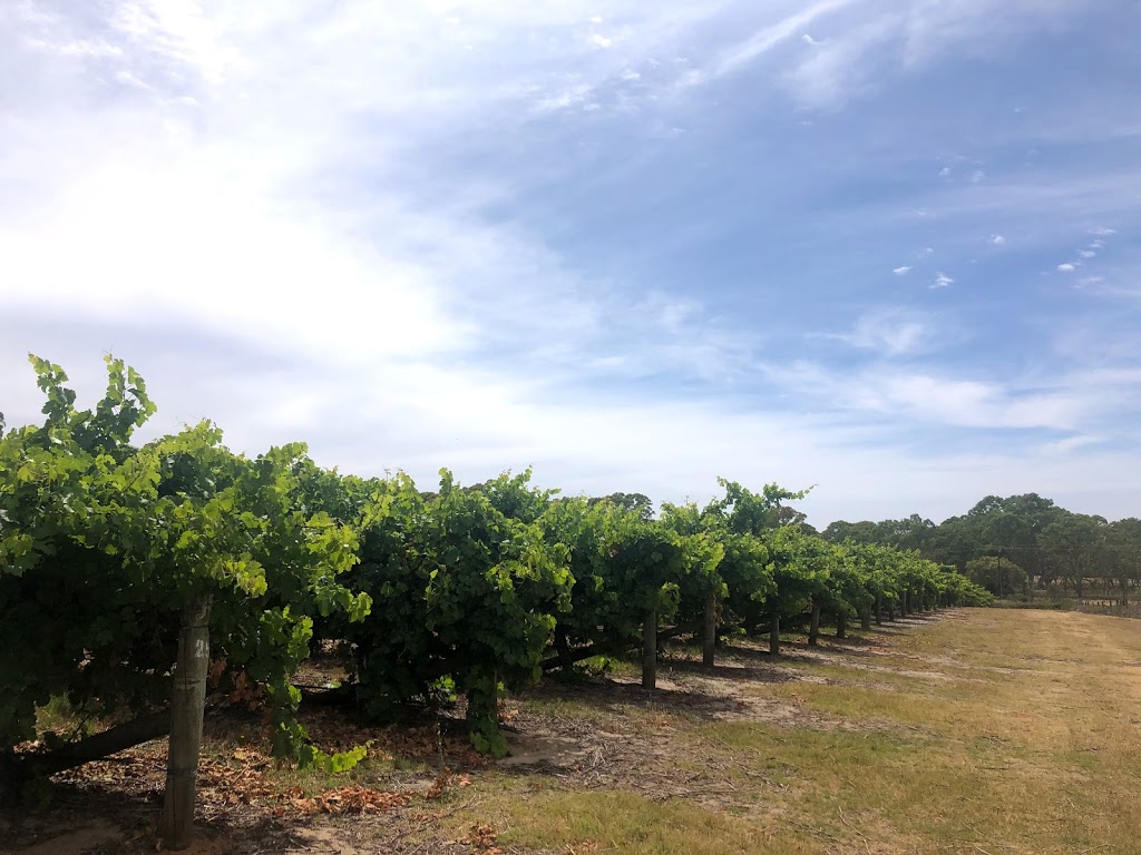 St Marys Wines | tourist attraction | Penola SA 5277, Australia | 0887366070 OR +61 8 8736 6070