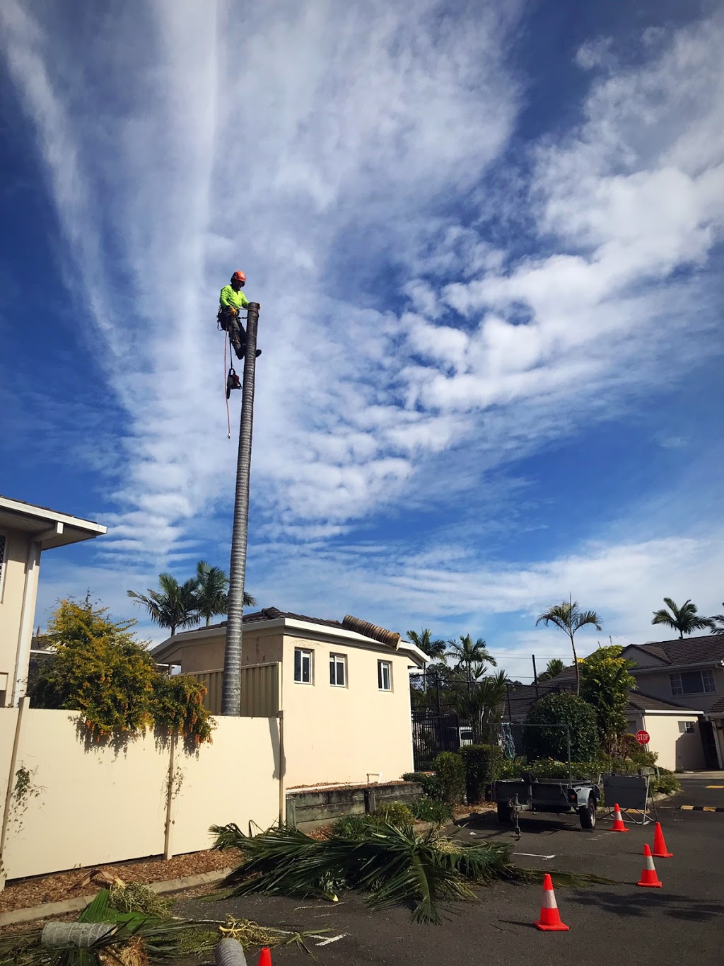 Eden Trees - Tree Removal Logan Brisbane - Arborist | 1322-1334 Chambers Flat Rd, Chambers Flat QLD 4133, Australia | Phone: (07) 5547 0934