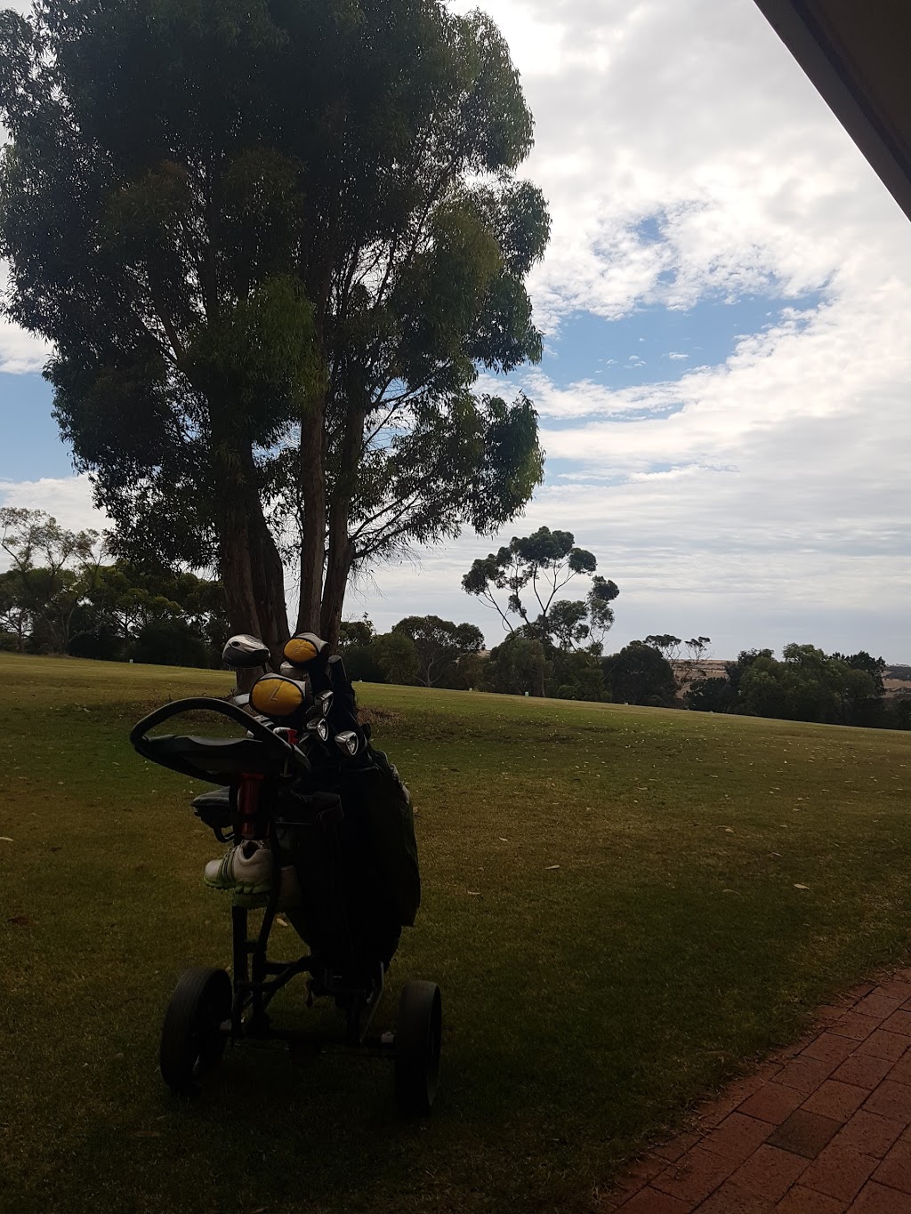 Maitland Golf Club |  | 2 Gardiner Terrace, Maitland SA 5573, Australia | 0888322741 OR +61 8 8832 2741
