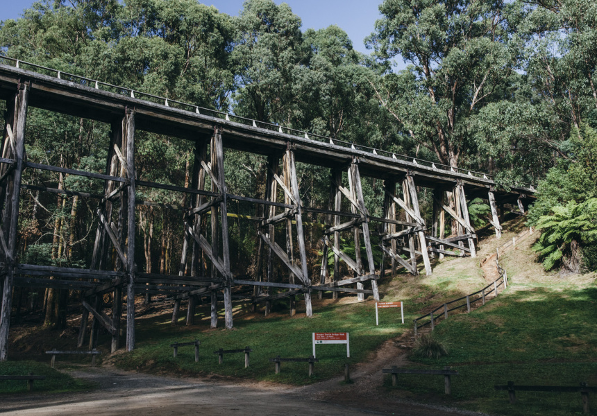 Plant Prune Remove | Main Neerim Rd, Neerim Junction VIC 3832, Australia | Phone: 0490 872 292 Plant Prune Remove | Main Neerim Rd, Neerim Junction VIC 3832, Australia | Phone: 0490 872 292