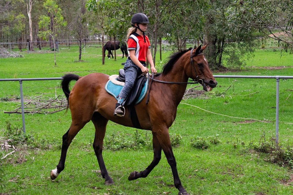 Millies Pony Paradise Riding School | 17 Eastwood Ct, Jimboomba QLD 4280, Australia | Phone: 0412 177 757