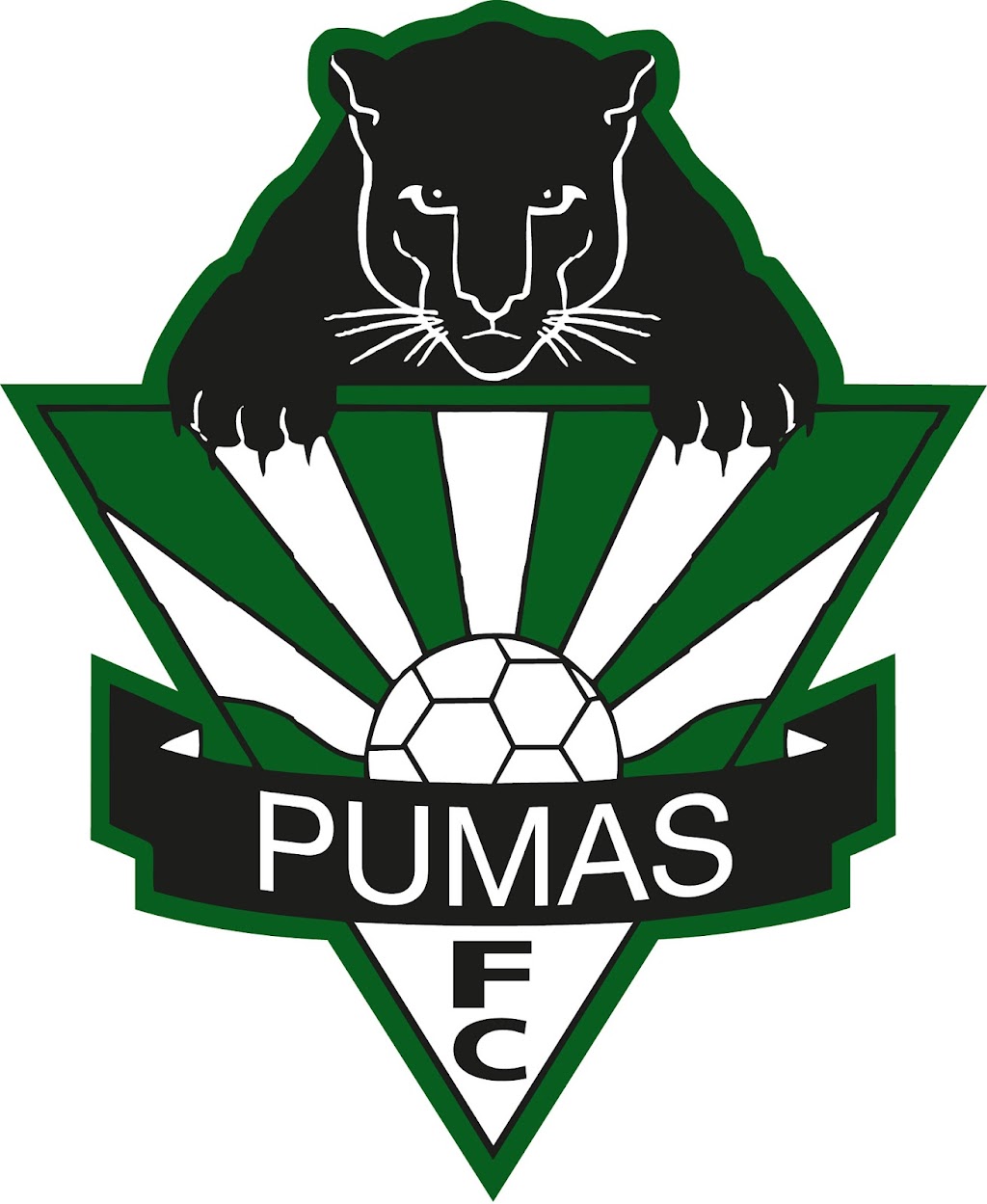 Hills Pumas FC |  | 2658 Old Northern Rd, Glenorie NSW 2157, Australia | 0430883385 OR +61 430 883 385
