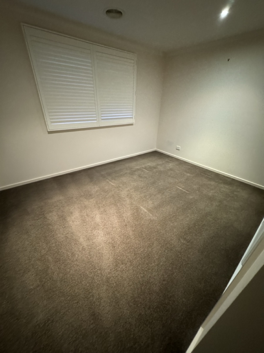 Wow Clean Carpets | Warehouse 7/12 kadak Pl, Breakwater VIC 3219, Australia | Phone: 0418 120 387