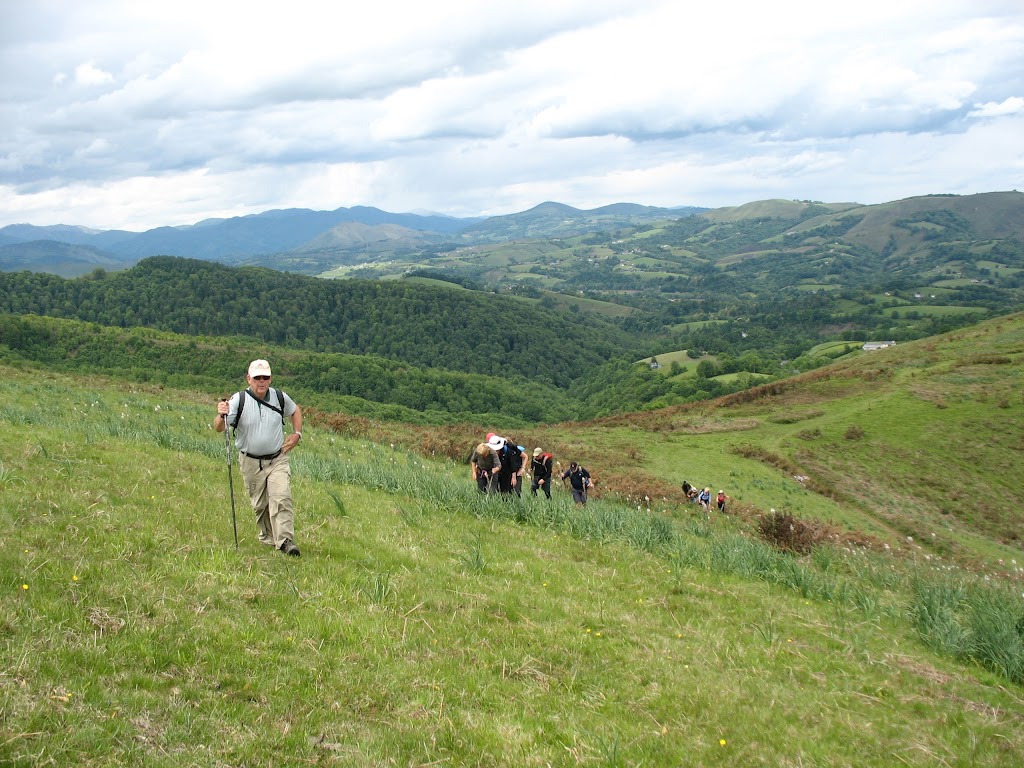 Pyrenees Tours |  | 66 Burradoo Rd, Burradoo NSW 2576, Australia | 0248625711 OR +61 2 4862 5711