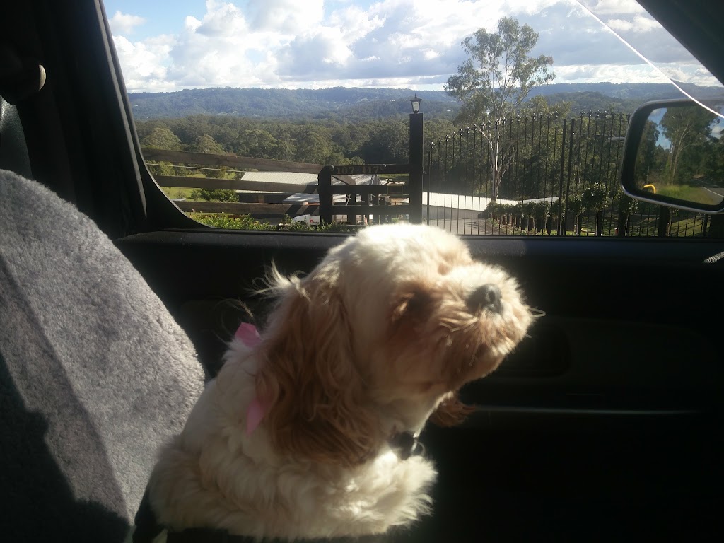 Dinky Di Mobile Dog Wash | 146 Woombye Palmwoods Rd, Palmwoods QLD 4555, Australia | Phone: 0413 313 002