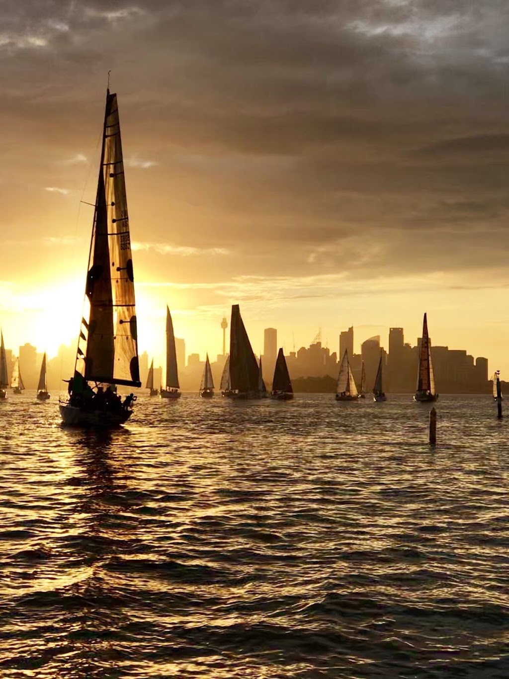 Pilgrim Sailing | travel agency | 522 New South Head Rd, Double Bay NSW 2028, Australia | 0424296406 OR +61 424 296 406