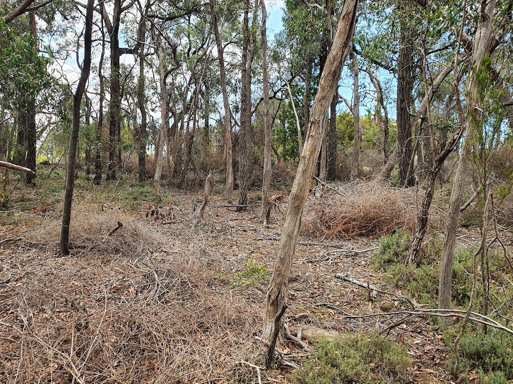 Wild Places - Vegetation Management | 26 Cloudbreak St, Armstrong Creek VIC 3217, Australia | Phone: 0431 057 416