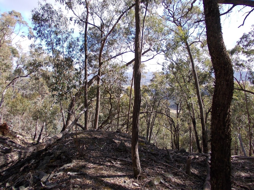 Beechworth Historic Goldfield Tours | 29 Last St, Beechworth VIC 3747, Australia | Phone: 0429 007 318