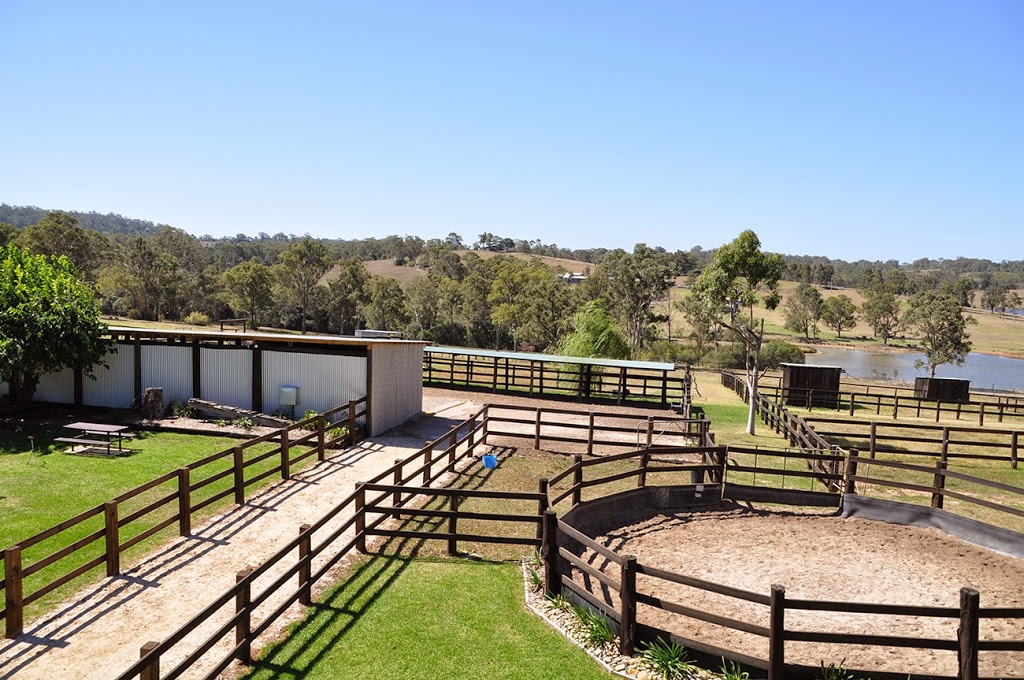 Scenic NSW Equine Centre | 205 Campbelltown Rd, Denham Court NSW 2565, Australia | Phone: (02) 9605 7410